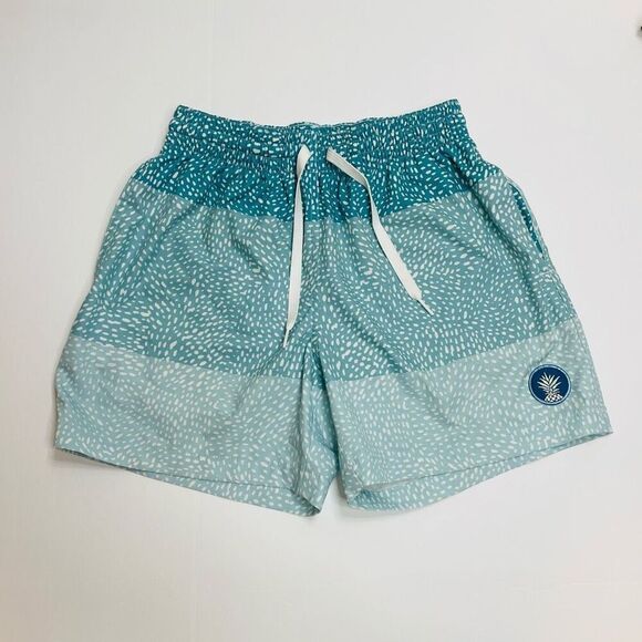 Chubbies Classic Swim Trunk Blue Stripe With Spots Size XS - Picture 11 of 11